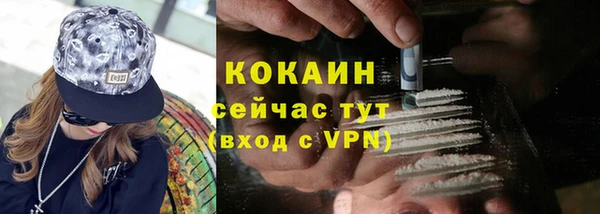 дживик Навашино