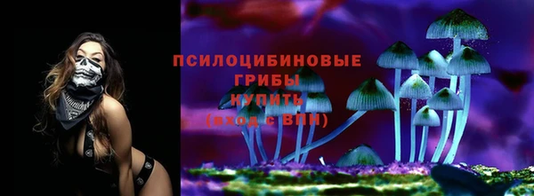 дживик Навашино