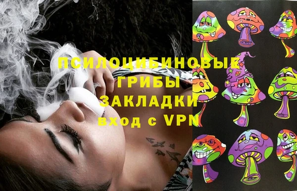 дживик Навашино